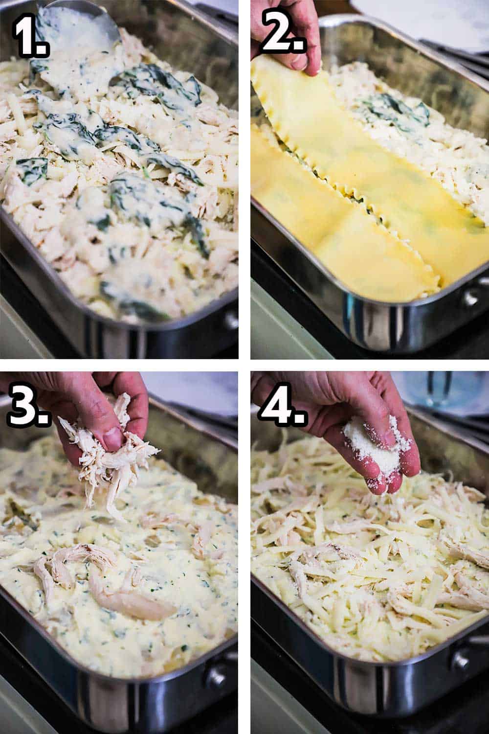 A person adding a spinach béchamel sauce into a lasagna pan and then layering cooked noodles and then adding shredded cooked chicken and topping with grated Parmesan cheese.