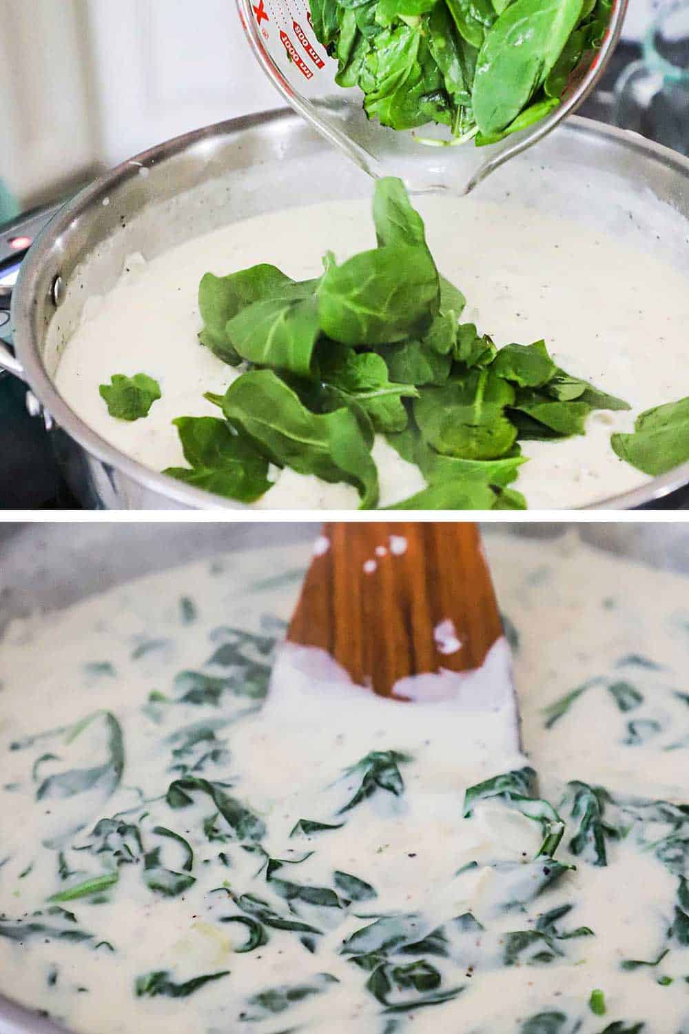 A large skilled with a béchamel sauce with fresh spinach leaves being dropped into and then that same skillet with the spinach wilted and mixed into the sauce.