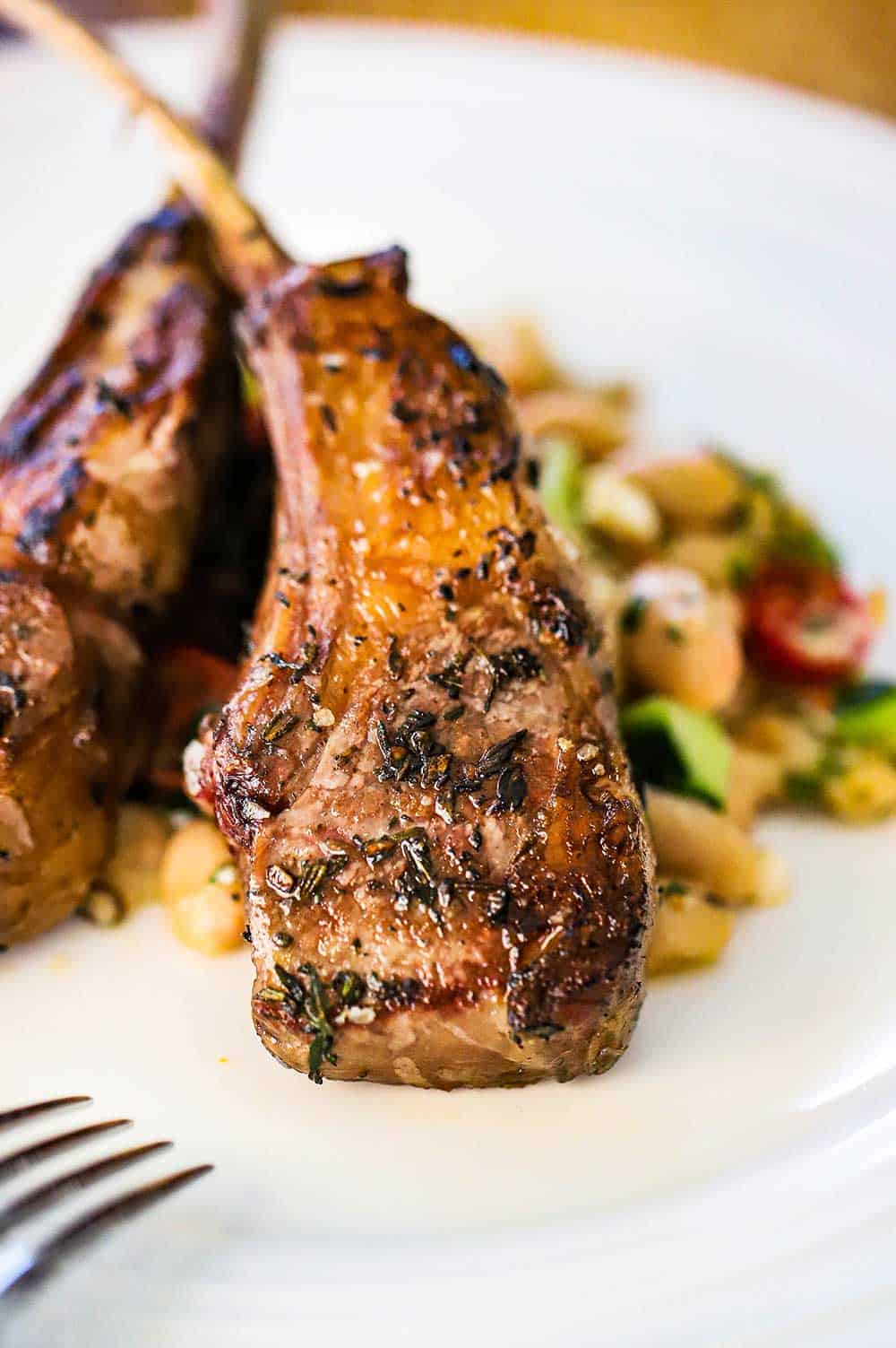 A close-up view of a marinated grilled lamb chop sitting on a Greek salad on a white dinner plate.