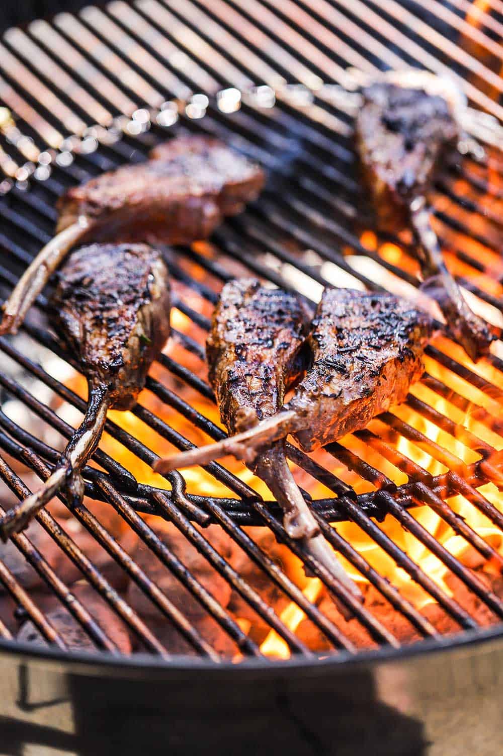 Four lamb chops on a charcoal grill with burning coals underneath the grate.