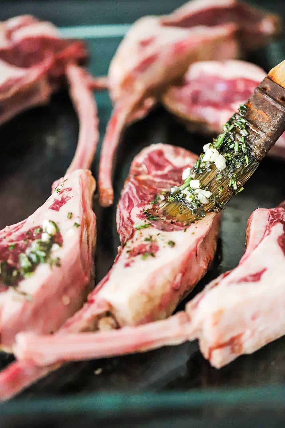 A brush being used to apply a garlic and herb marinade onto uncooked lamb chops in a glass dish.