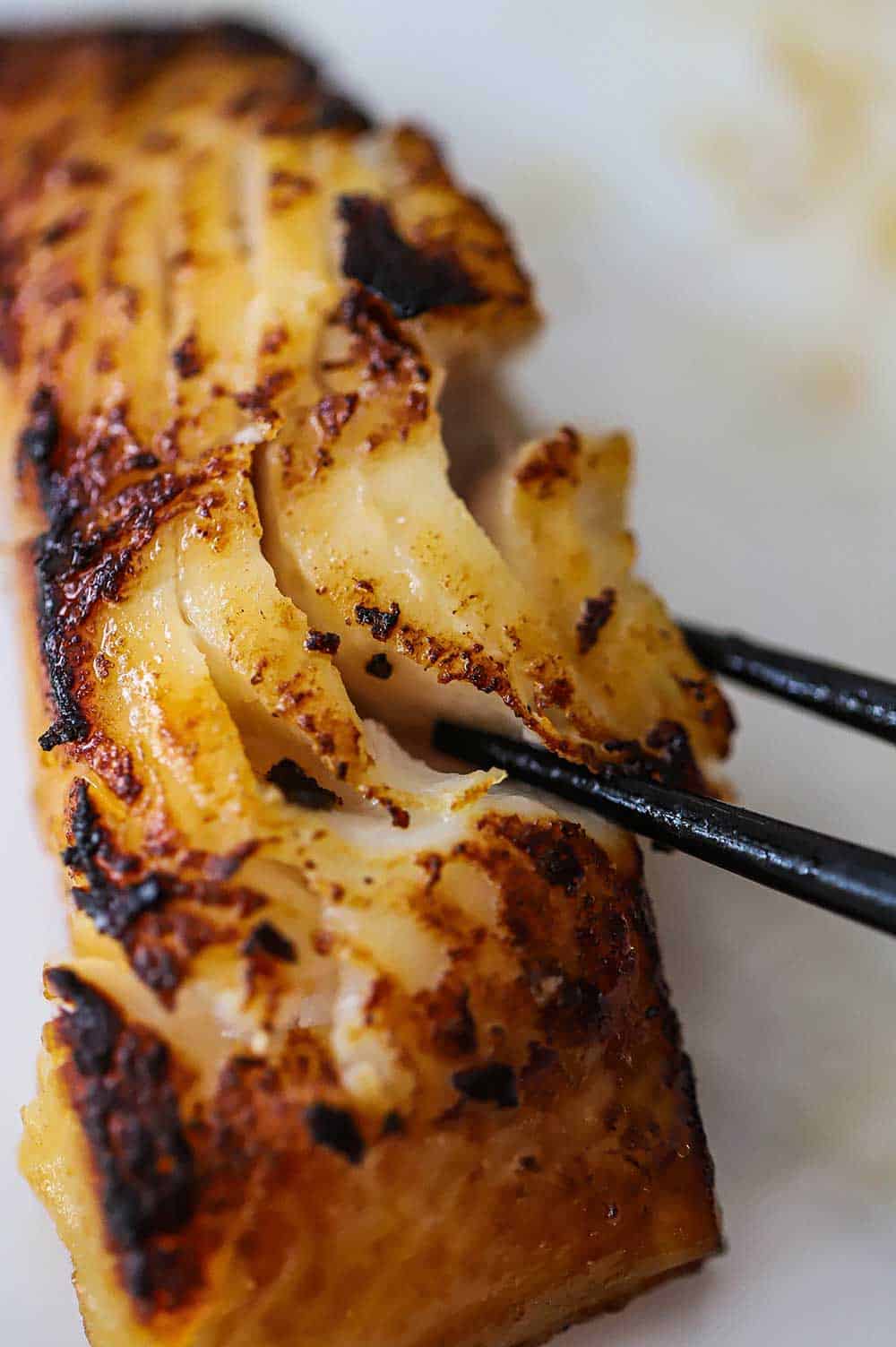 A close-up view of a pair of chop stick flaking a piece of black cod that has been fully cooked