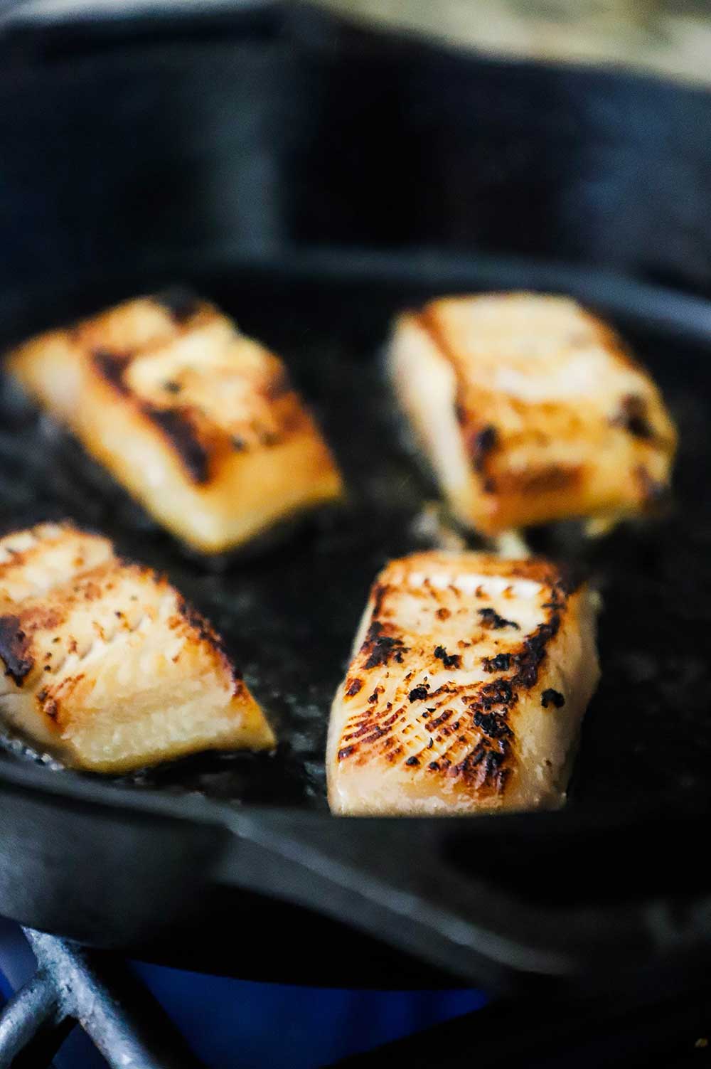 Black cod fillets being seared in a cast-iron skillet