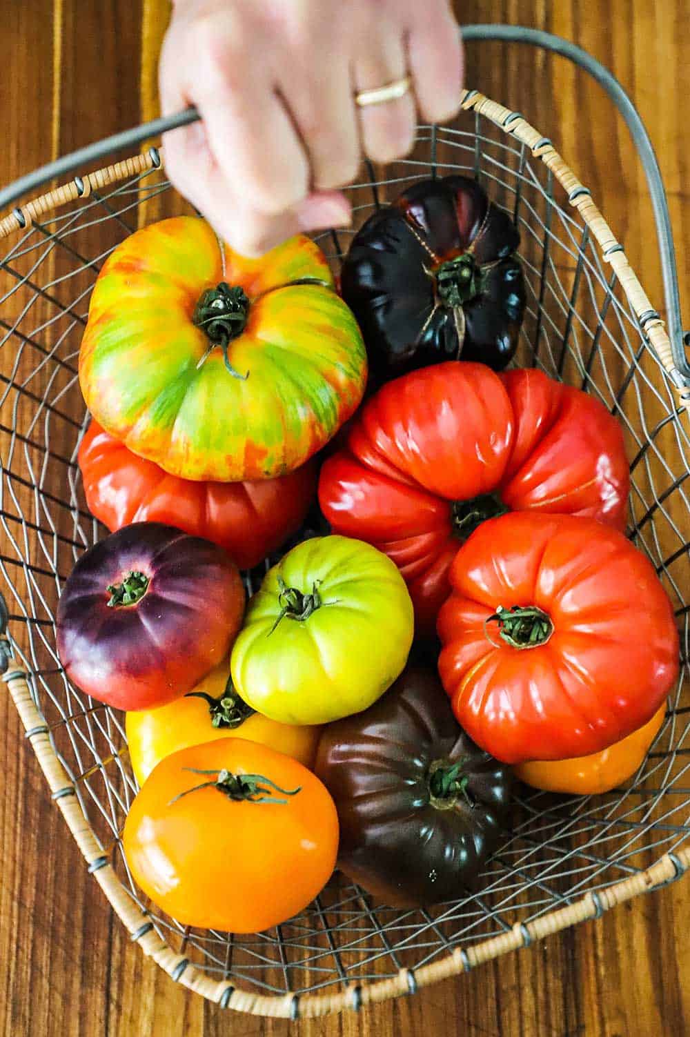 A person holding a wire basket that is full of different types of heirloom tomatoes, they are red, purple, yellow, and orange.