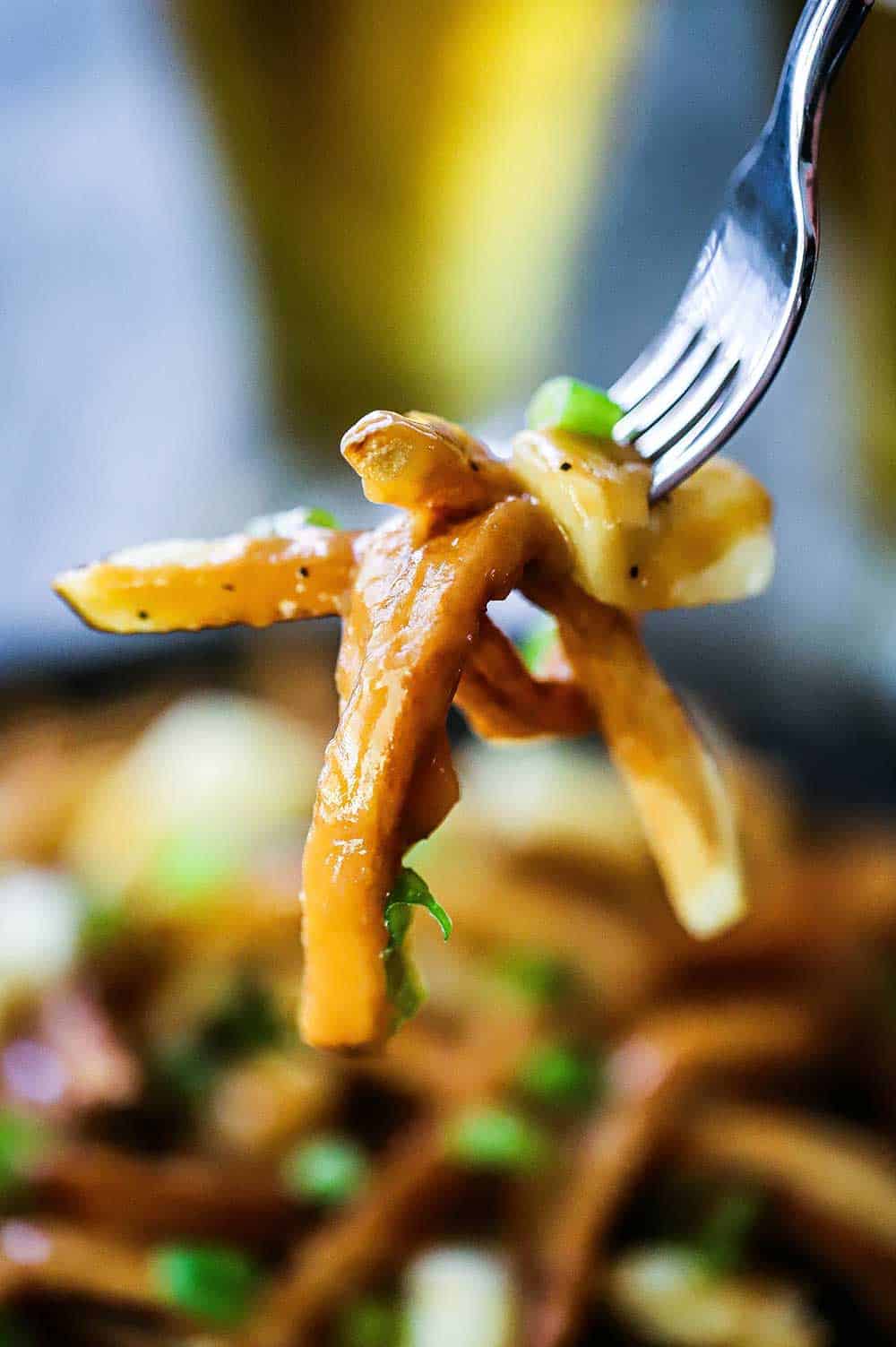 A fork holding up several french fries that are coated with brown gravy.