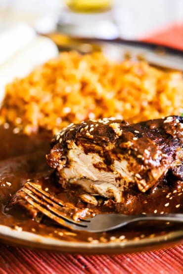 A plate that is filled with chicken mole with a bite removed from the chicken.