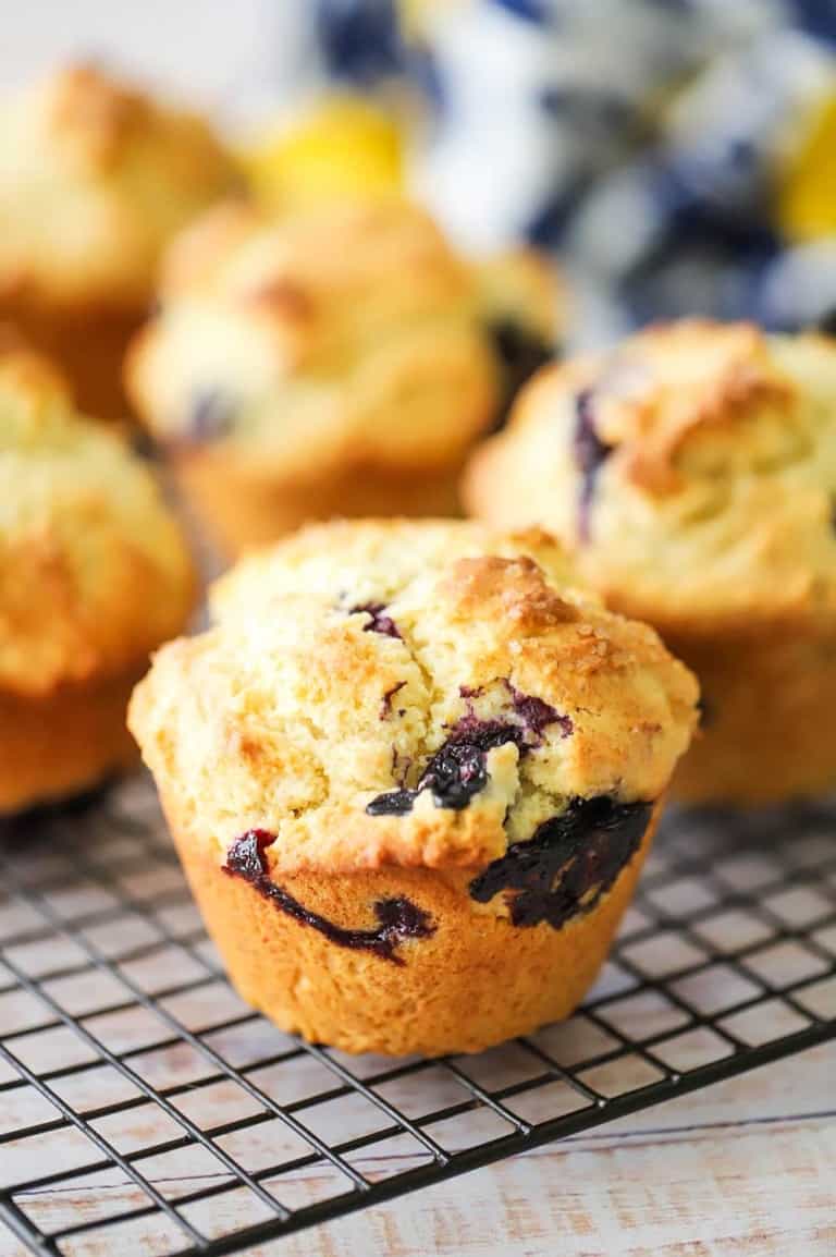 Lemon and Blueberry Jumbo Muffins | How To Feed A Loon