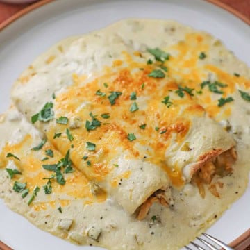 A close-up view of two chicken enchiladas with sour cream sauce on a white dinner plate and garnished with chopped cilantro.