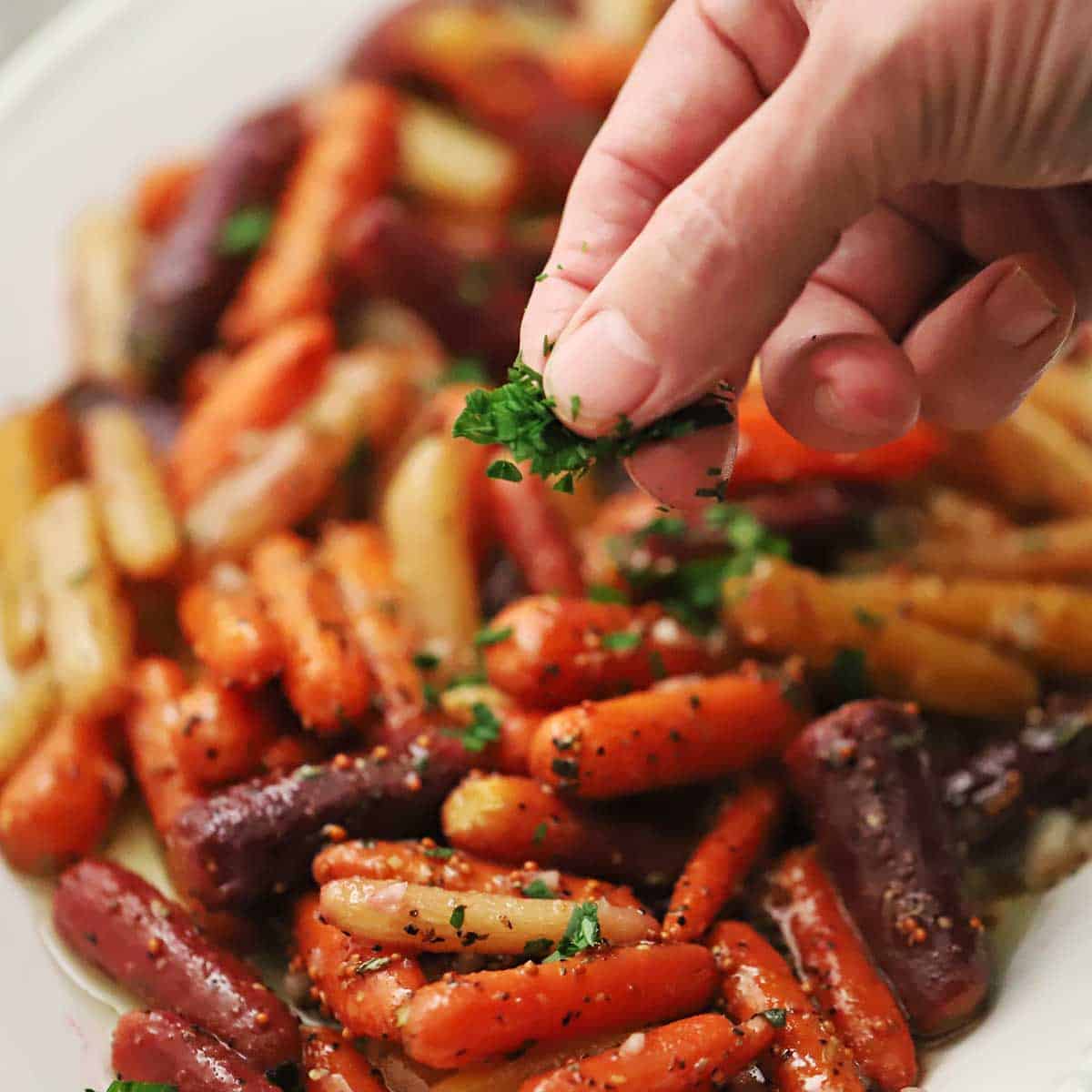 A person sprinkling chopped Italian parsley over the top of a platter filled with roasted baby carrots with herbed vinaigrette.