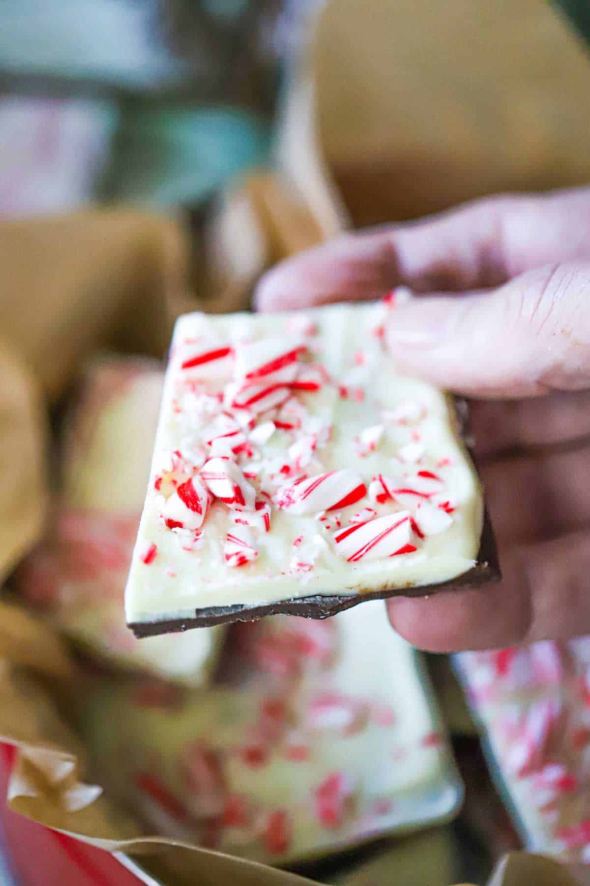 A person holding a piece of homemade peppermint bark over a tin filled with the same.