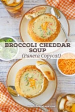 An overhead view of two small plates both holding a sourdough bread bowl filled broccoli cheddar soup.