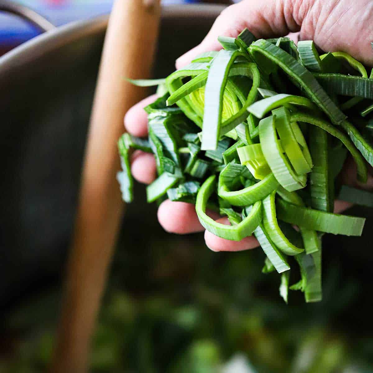 A person holding a chopped leek over a large stock pot with a wooden spoon resting in the pot.