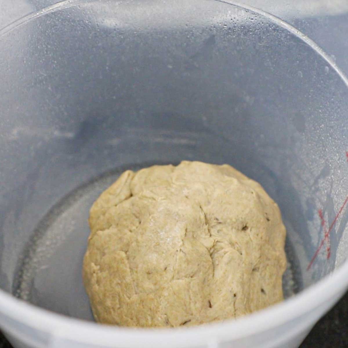 A ball of rye bread dough that has been placed inside a plastic proofing container.