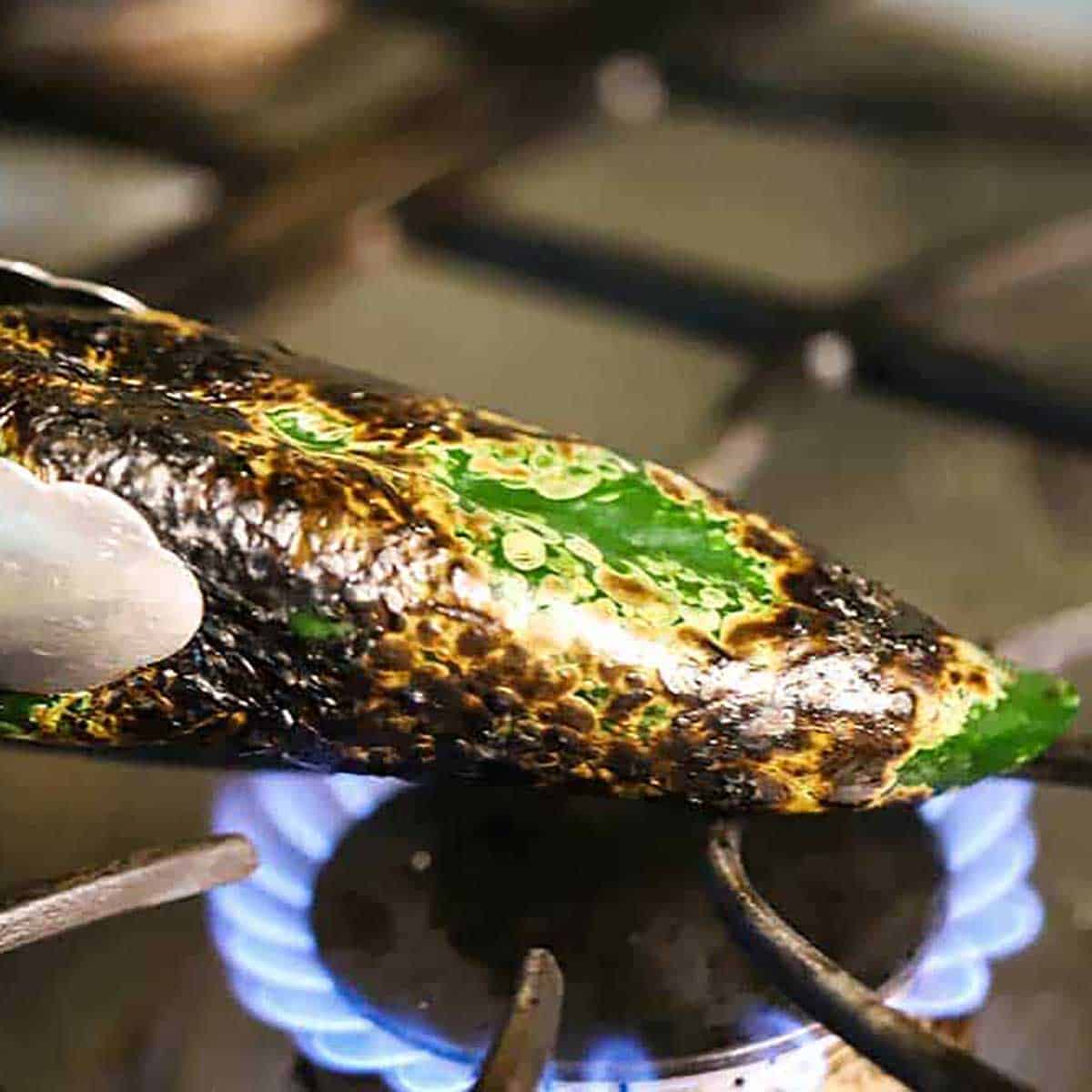 A person using a pair of metal tongs to roast a poblano chile over a gas flame on a gas stove.