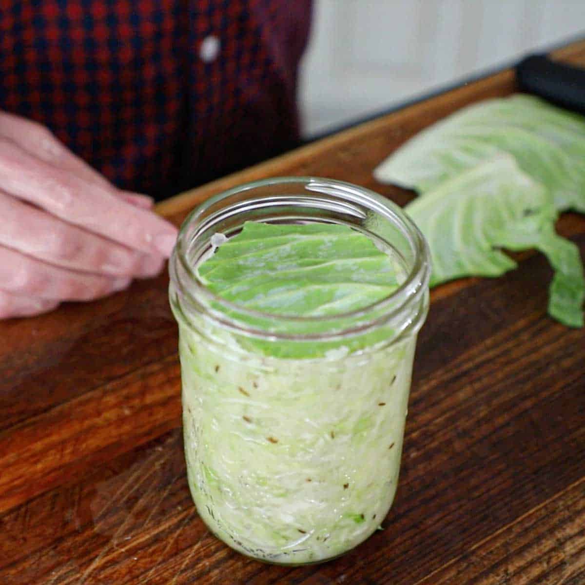 A person standing behind a glass jar that is filled with crushed green cabbage with a round piece of a cabbage leaf resting on the cabbage at the top of the jar.