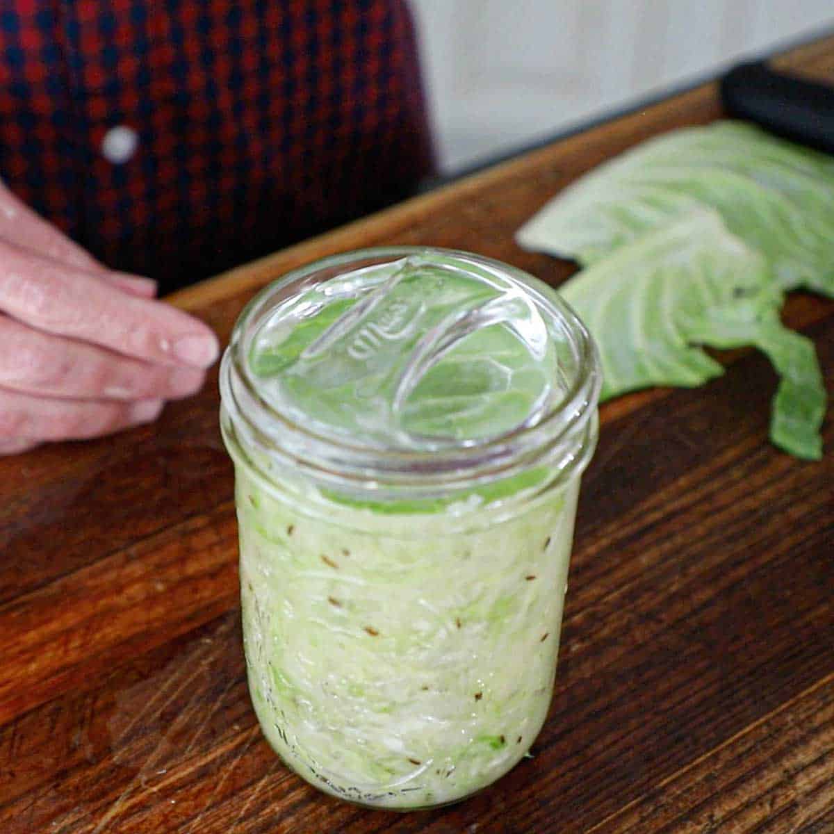 A person standing behind a jar filled with crushed, shredded green cabbage topped with a circular piece of a cabbage leaf and a glass weight.