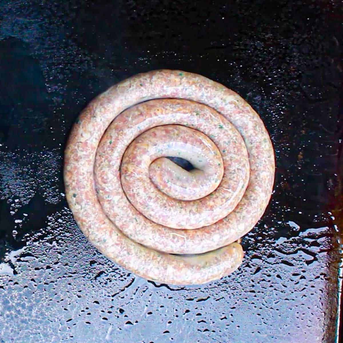 An overhead view of a coiled rope of uncooked Italian sausage being seared on a outdoor griddle in a thin layer of oil.