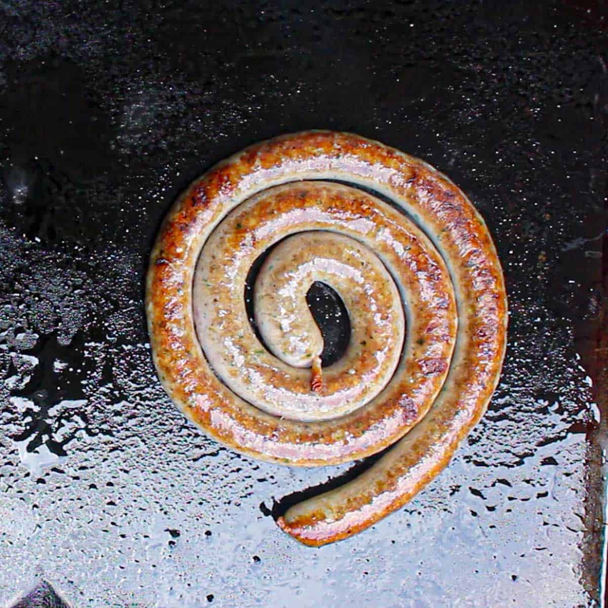 An overhead view of a coiled rope of Italian sausage that has been seared on an outdoor griddle in a thin layer of hot oil.