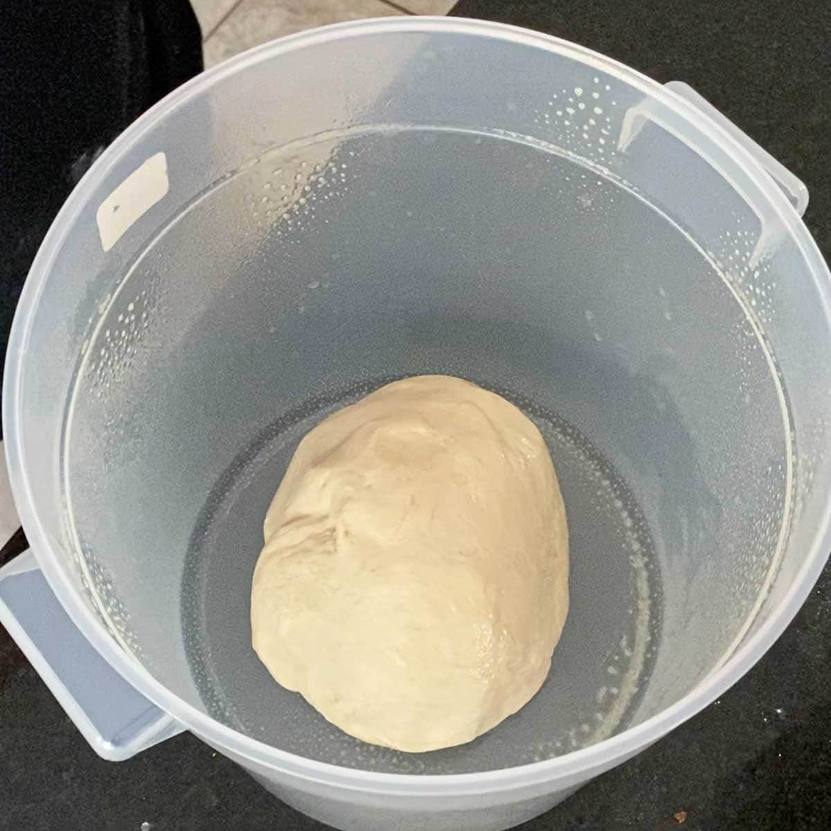 A ball of homemade Italian rolls dough that has been placed in a plastic proofing container that has been sprayed with cooking oil.