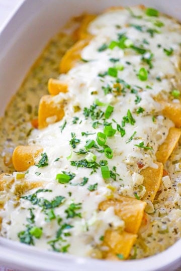 A close-up view of a white 9" by 13" baking dish filled with a line of creamy shrimp enchiladas topped with chopped cilantro and scallions.