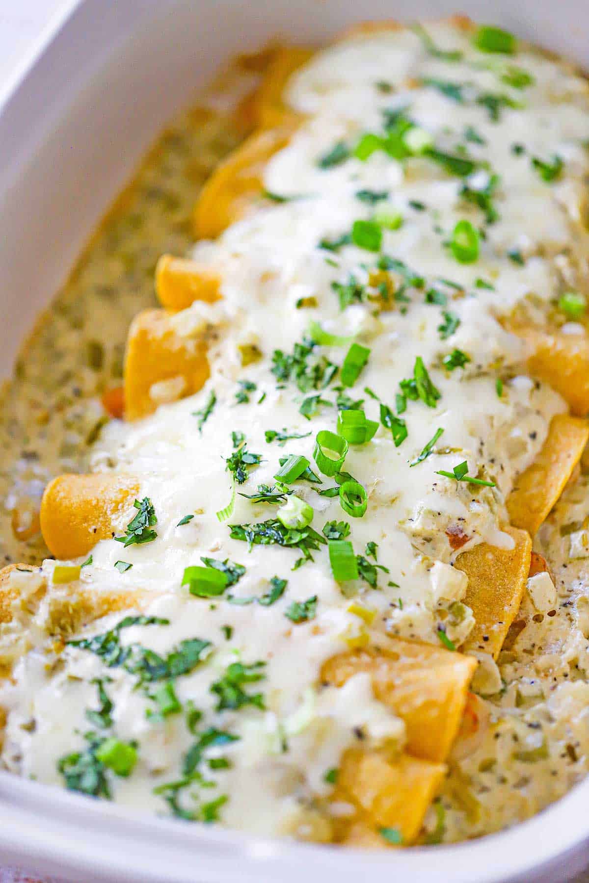 A close-up view of a white 9" by 13" baking dish filled with a line of creamy shrimp enchiladas topped with chopped cilantro and scallions.