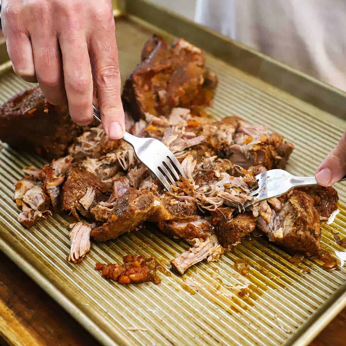 A person using two forks to shred extremely tender braised pork shoulder on a sheet pan.