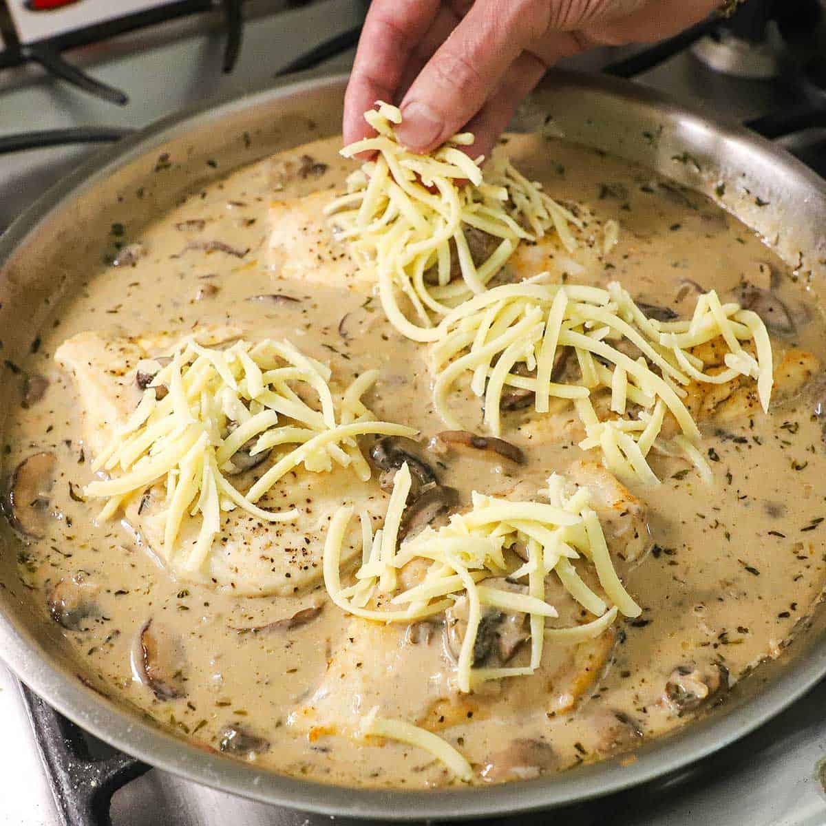 A person placing shredded Gruyere cheese over seared chicken cutlets that have been nestled into a creamy brown sauce in a large stainless steel skillet.