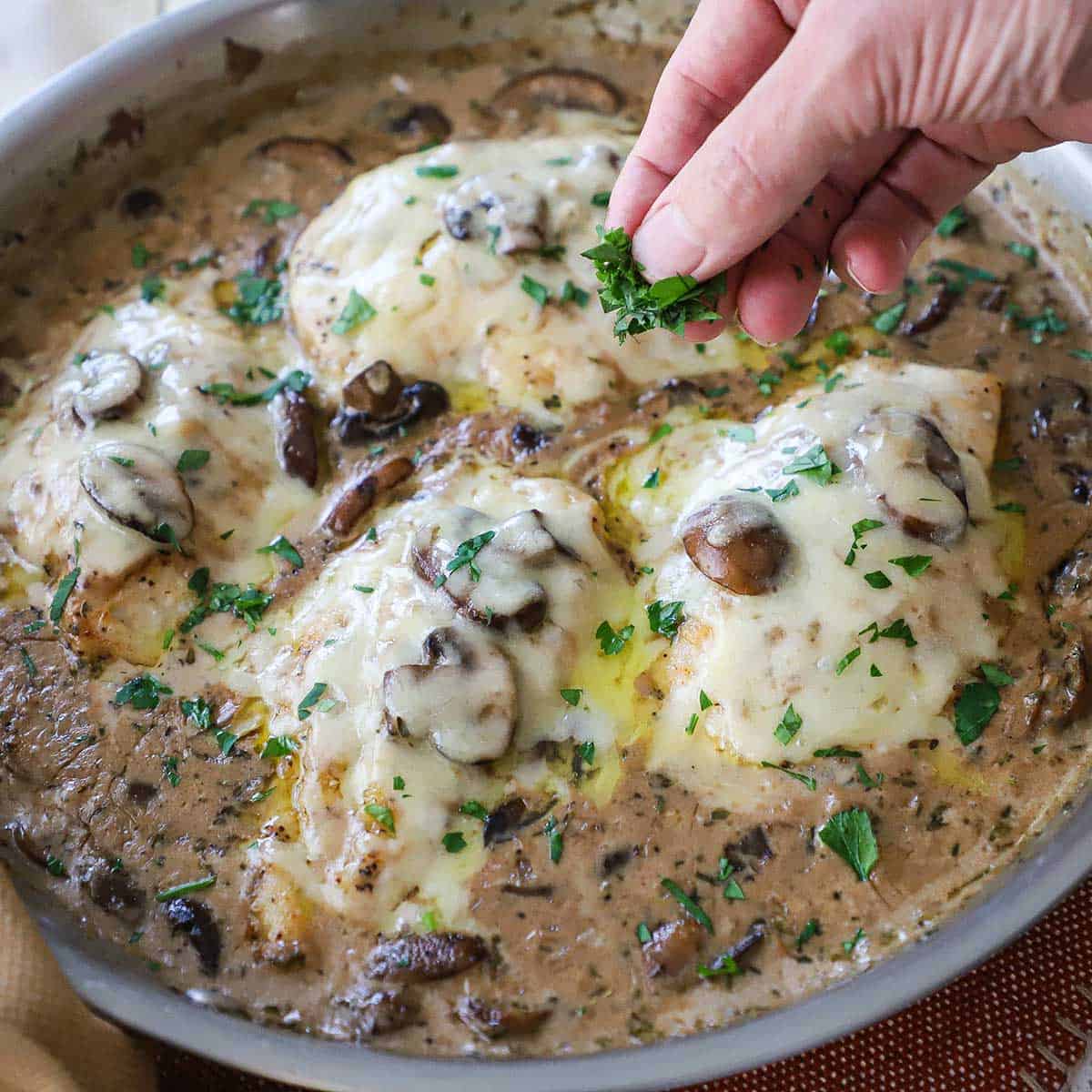 A person sprinkling chopped Italian parsley over the top of a freshly baked chicken Gloria with melty cheese, sautéed mushrooms, and chicken in a sauce all in a steel skillet.
