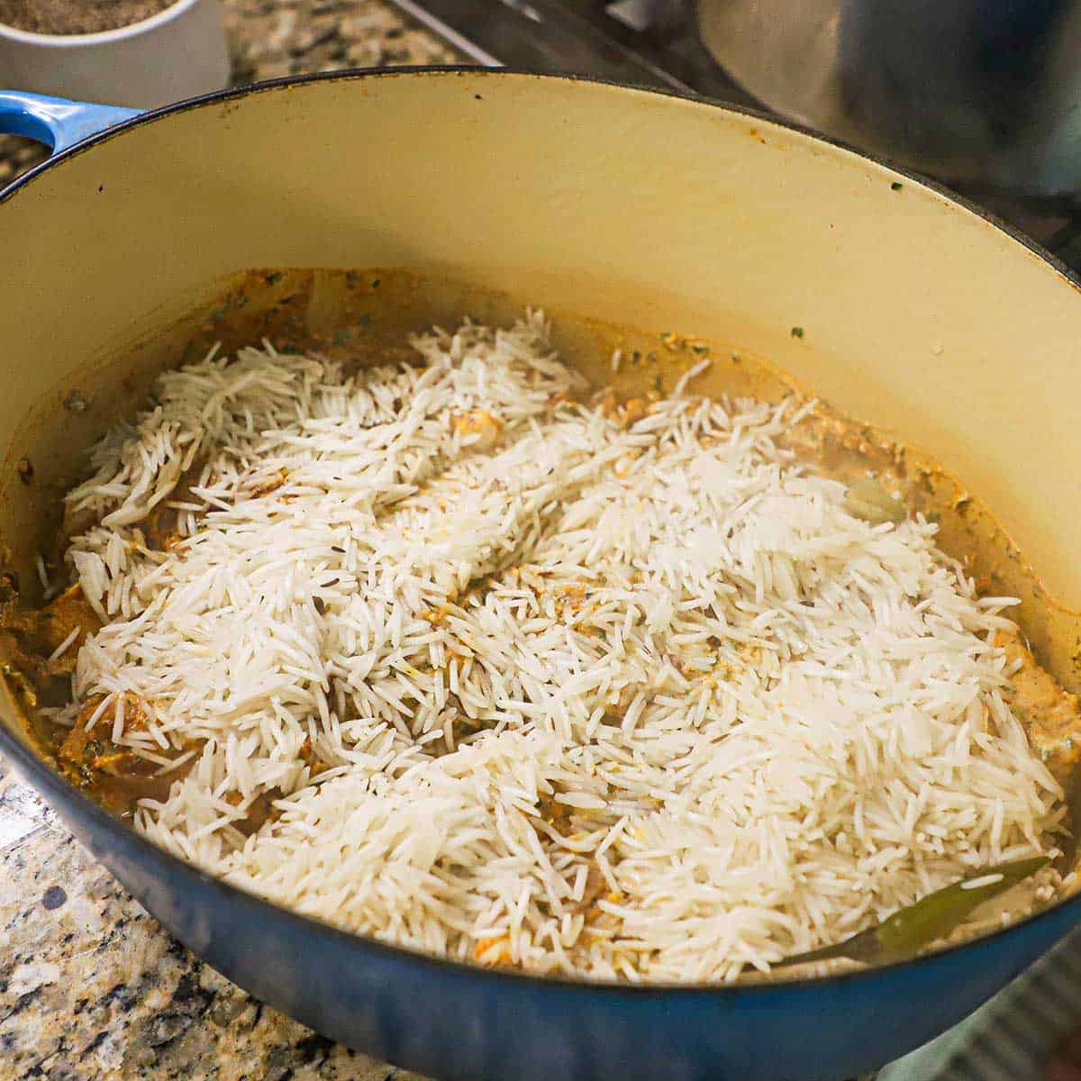 A large Dutch oven that contains a layer of marinated chicken and is topped with a thin layer of partially cooked extra-long basmati rice.