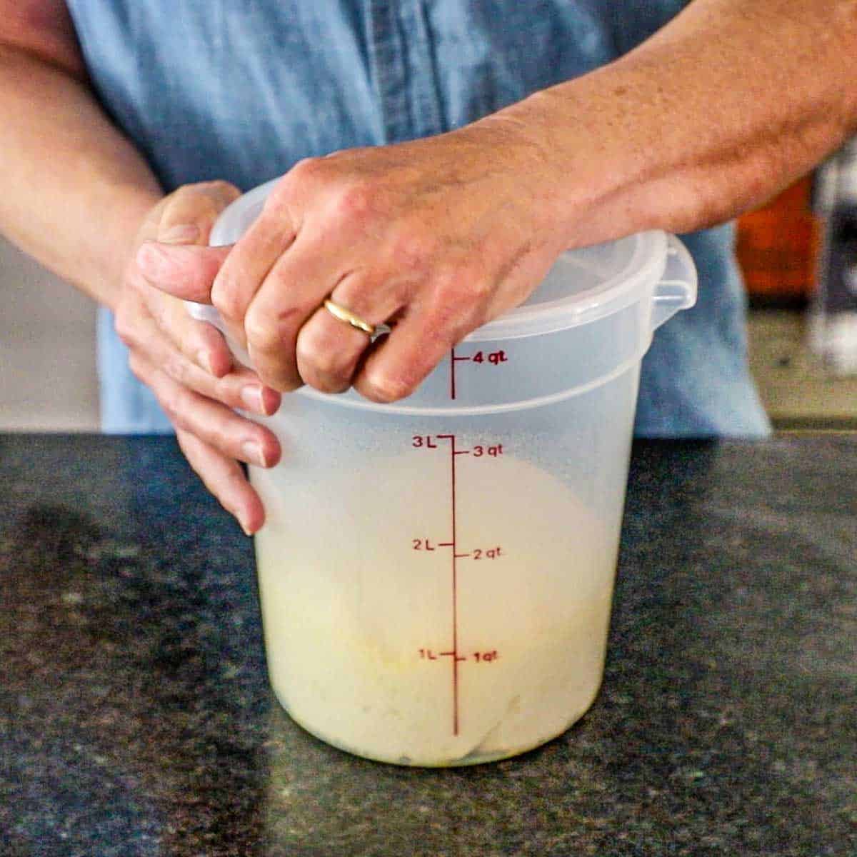 A person using his hand to remove the lid to a proofing container that holds risen homemade naan dough.