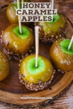 An overhead view of Honey Caramel Apples resting on a plate that is a slice of a tree trunk.