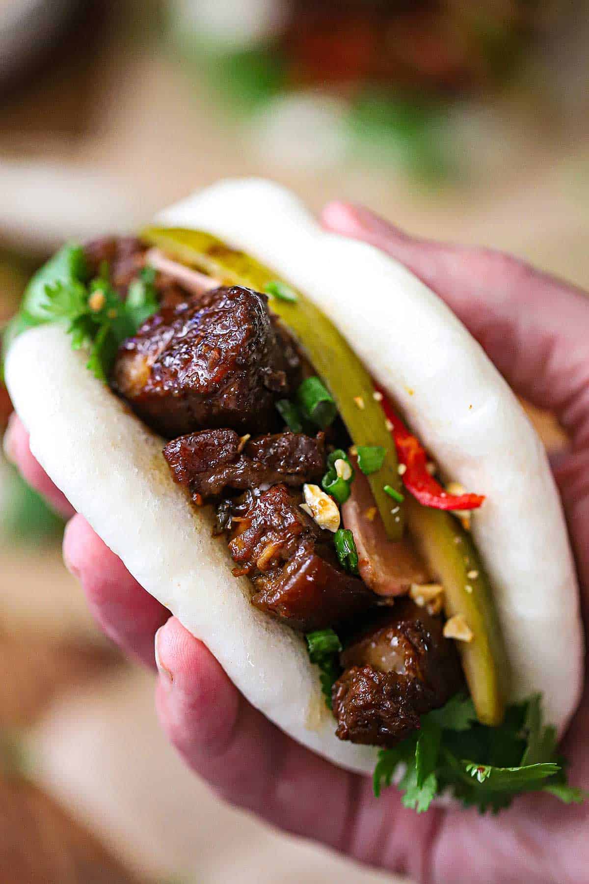 A peson holding a Braised Pork Belly Bao Bun in his hand revealing the glossy chunks of pork belly, garnished with pickled cucumber, fresh cilantro, a red chili stips, and chopped peanuts.