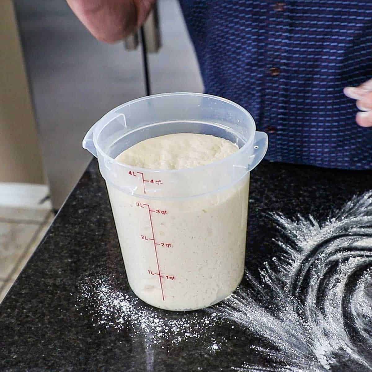 A person standing behind a counter with a proofing container in front of him that is filled with risen dough for homemade telera rolls.