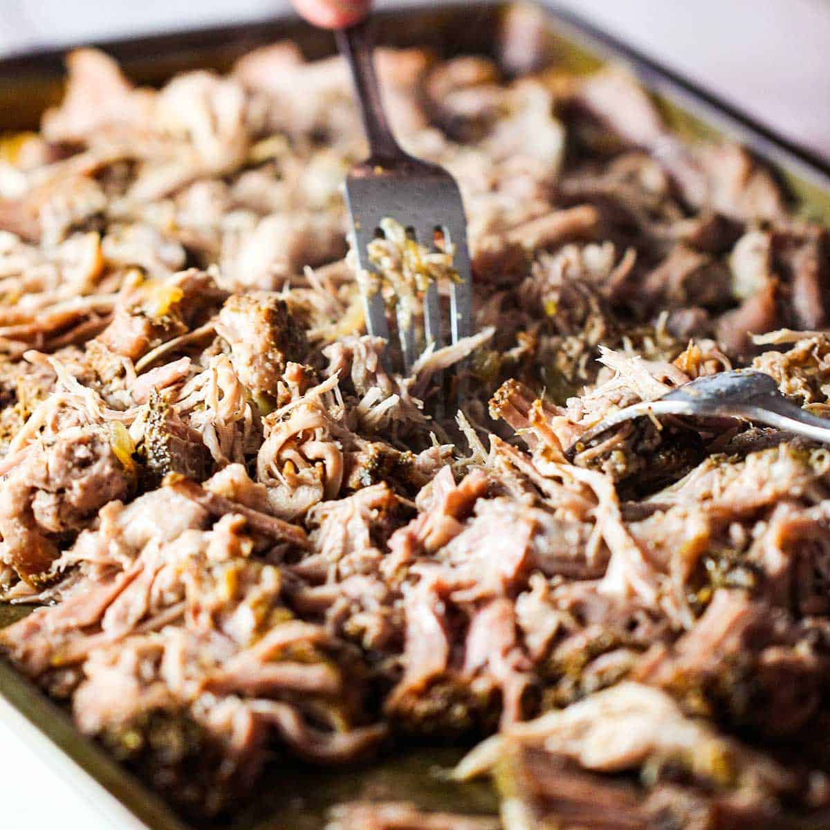 A person using two forks to shred slow cooked pork shoulder on a baking sheet for carnitas tacos.